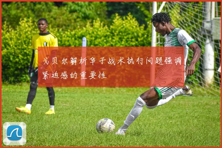 戈贝尔解析华子战术执行问题强调紧迫感的重要性